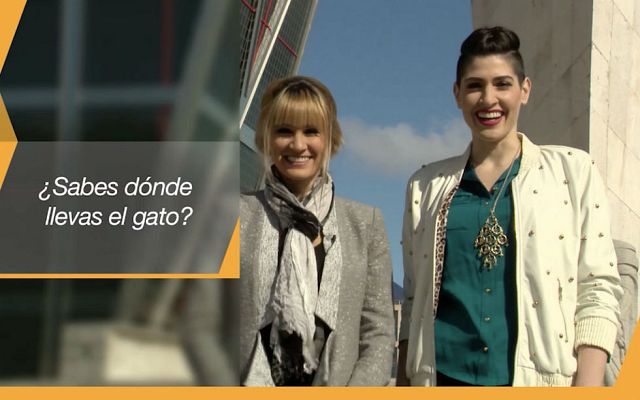 Seguridad vital 5.0 - 'Seguridad Vital' - 'Cuestionario' - Ha-Ash