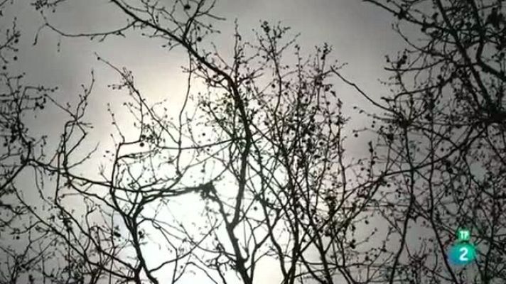 Página Dos - Recomendaciones de 'Página Dos'