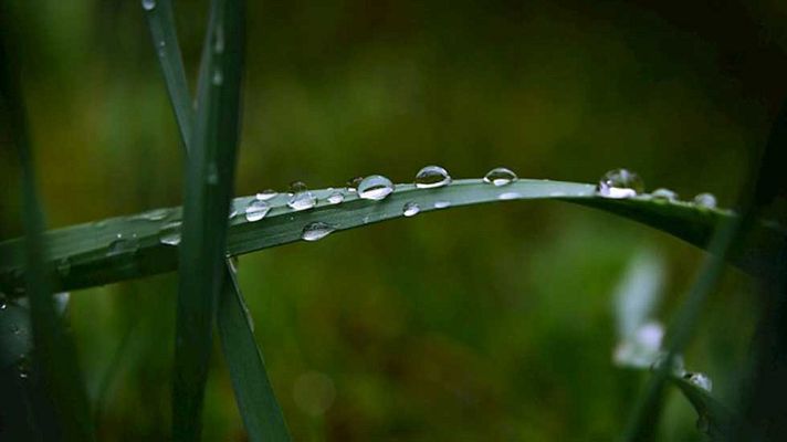 Informativo de Madrid - El Tiempo en la Comunidad de Madrid - 11/04/16