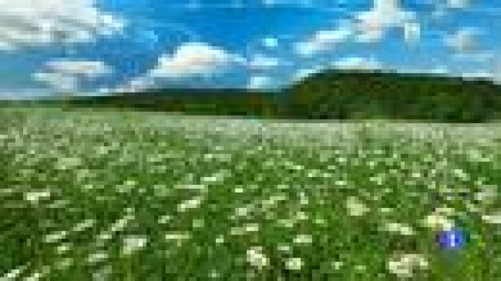 Noticias Aragón - Tiempo en Aragón 11/04/16