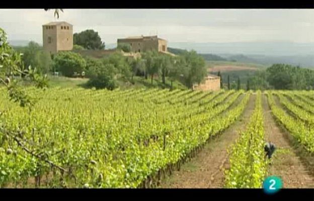 El escarabajo verde - El peor trago del cambio climático