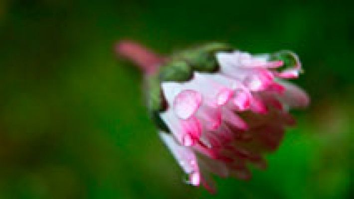 El tiempo - Más viento y lluvia en el norte y el Sistema Central