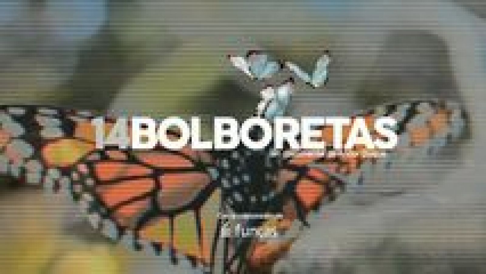 La aventura del saber - 13/04/16 - Ver ahora