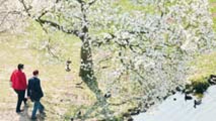 El tiempo - Lluvias en Galicia, Castilla y León y Sistema Central