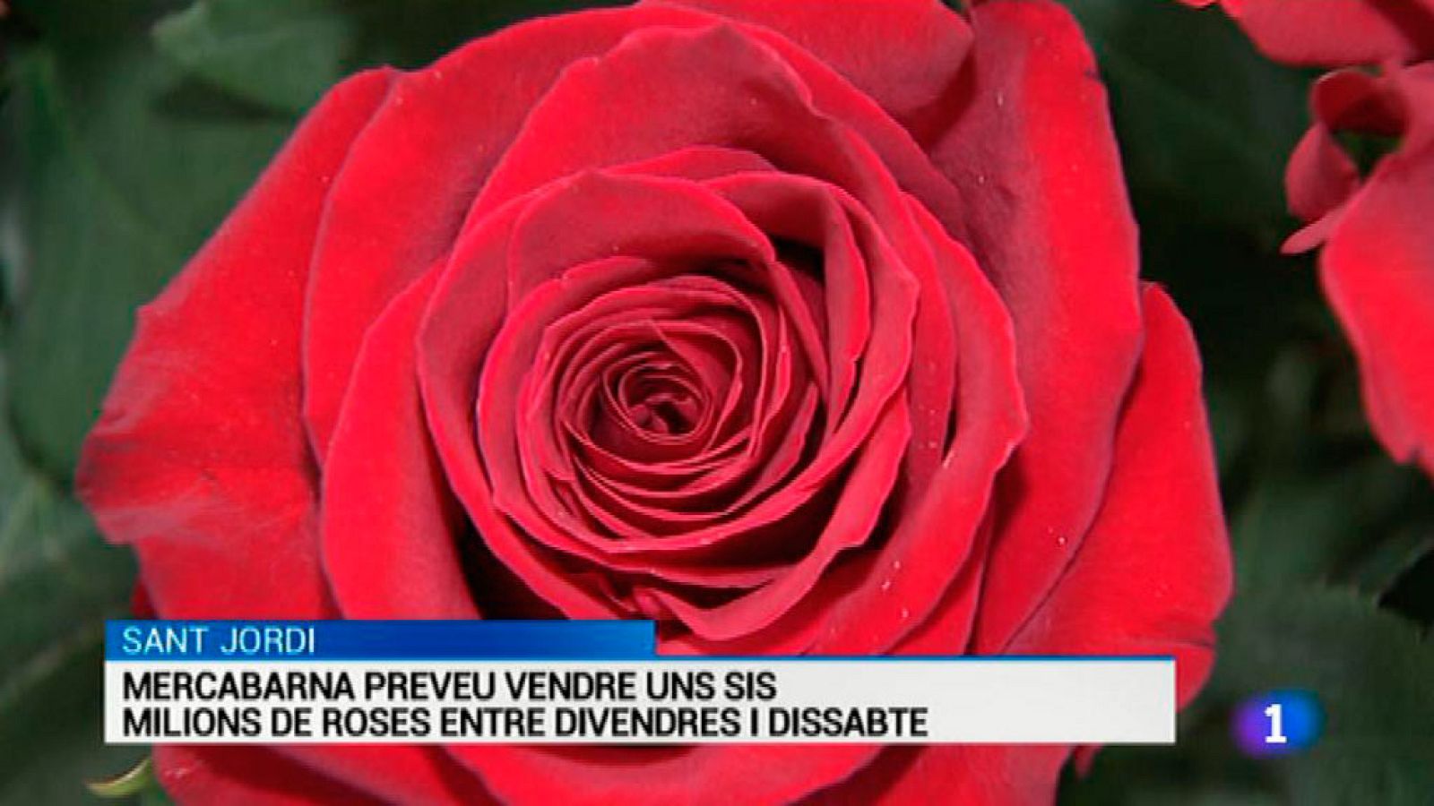 L'Informatiu 2 - 14/04/2016