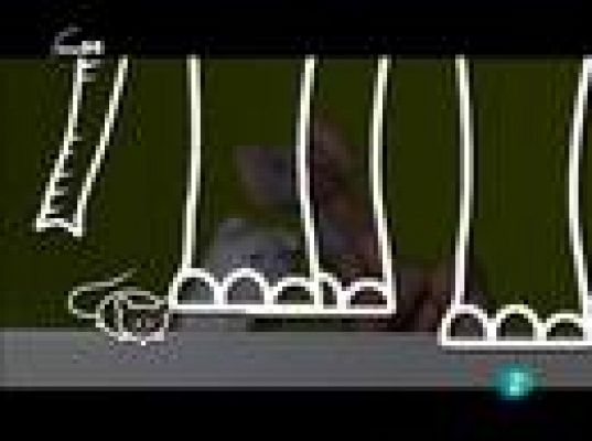 tres14 - ¿Quién teme a un ratón?