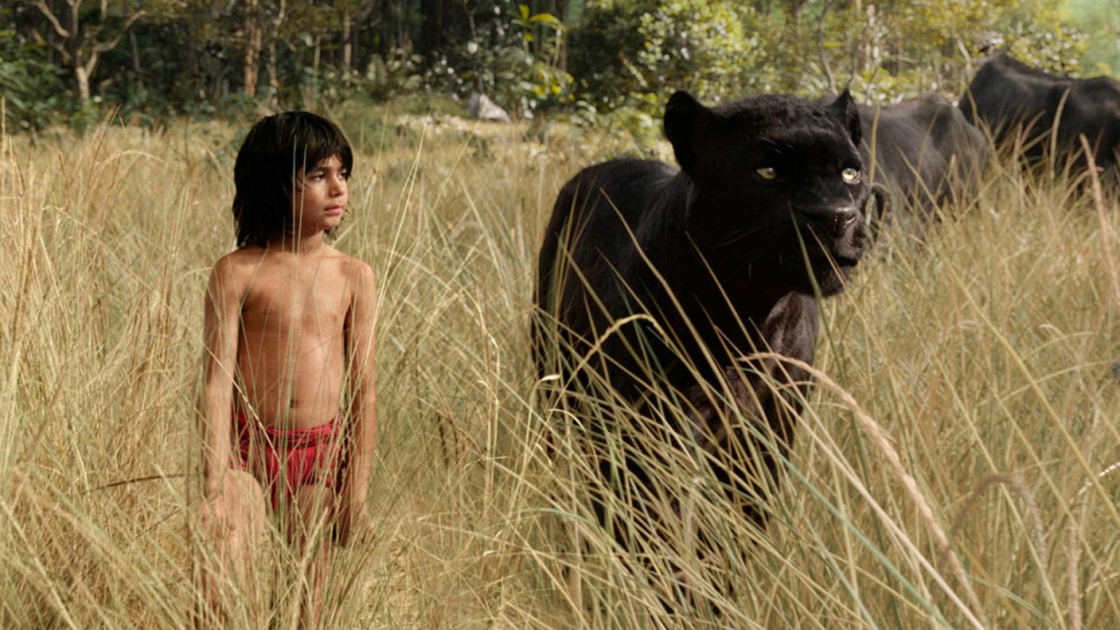 Días de cine: 'El libro de la selva' | RTVE Play