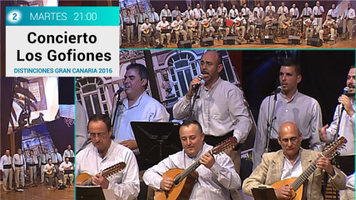  - Concierto Los Gofiones 1