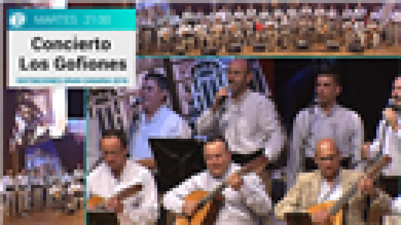 Concierto Los Gofiones 1