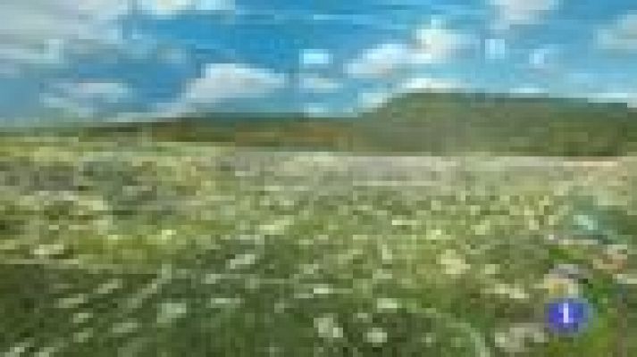 Noticias Murcia - El tiempo en la Región de Murcia - 15/04/2016