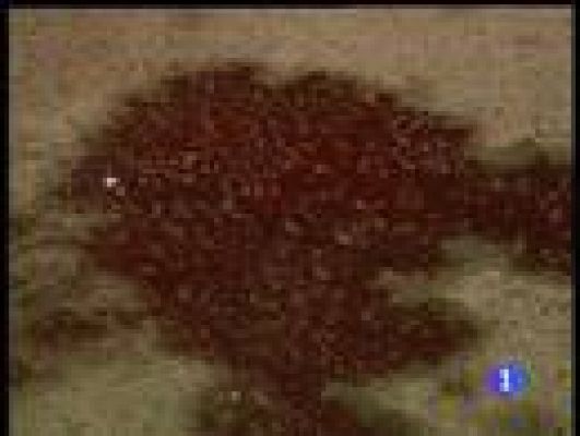  - La pelea en Almería empezó en robo