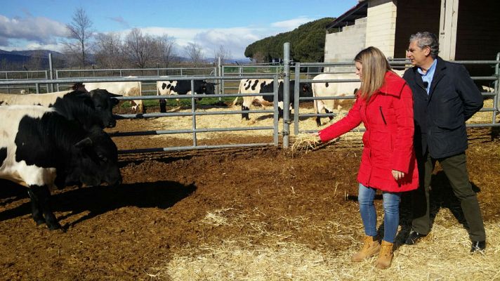 Aquí la Tierra - Unas vacas muy tecnológicas