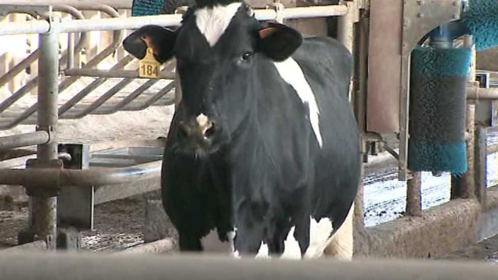 Agrosfera - 16/04/16 - Ver ahora