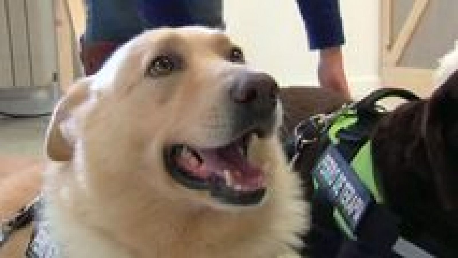 España en comunidad - 16/04/16 - Ver ahora