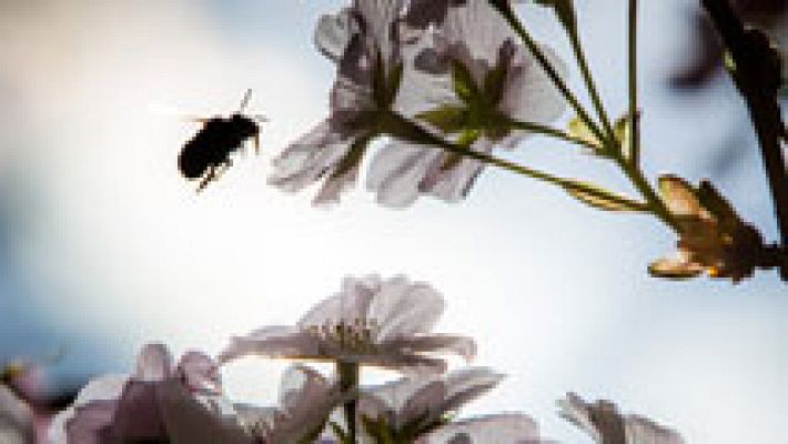 El tiempo - Nuboso con precipitaciones en la península, salvo en el área mediterránea