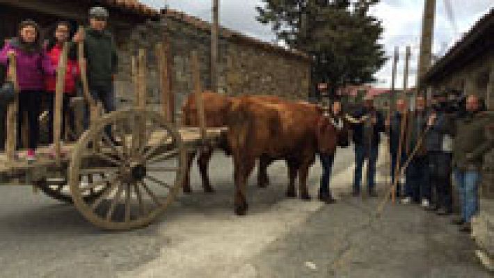 Hoyocasero acoge la Mascarávila