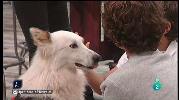 A punto con La 2 - Niños pequeños con perros en casa