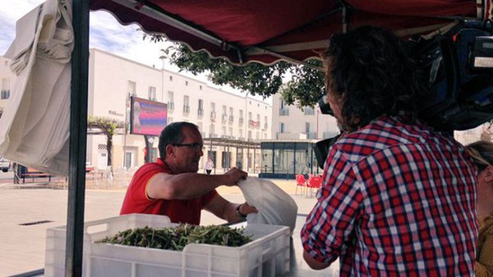 España Directo - ¿Qué son las tagarninas?
