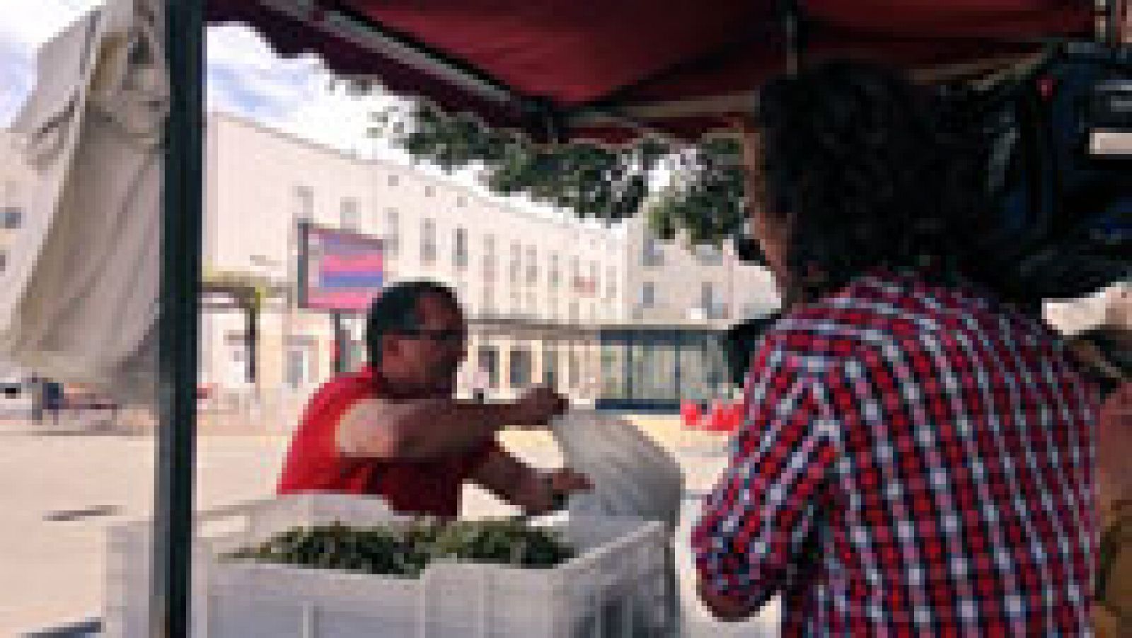 ¿Qué son las tagarninas? 