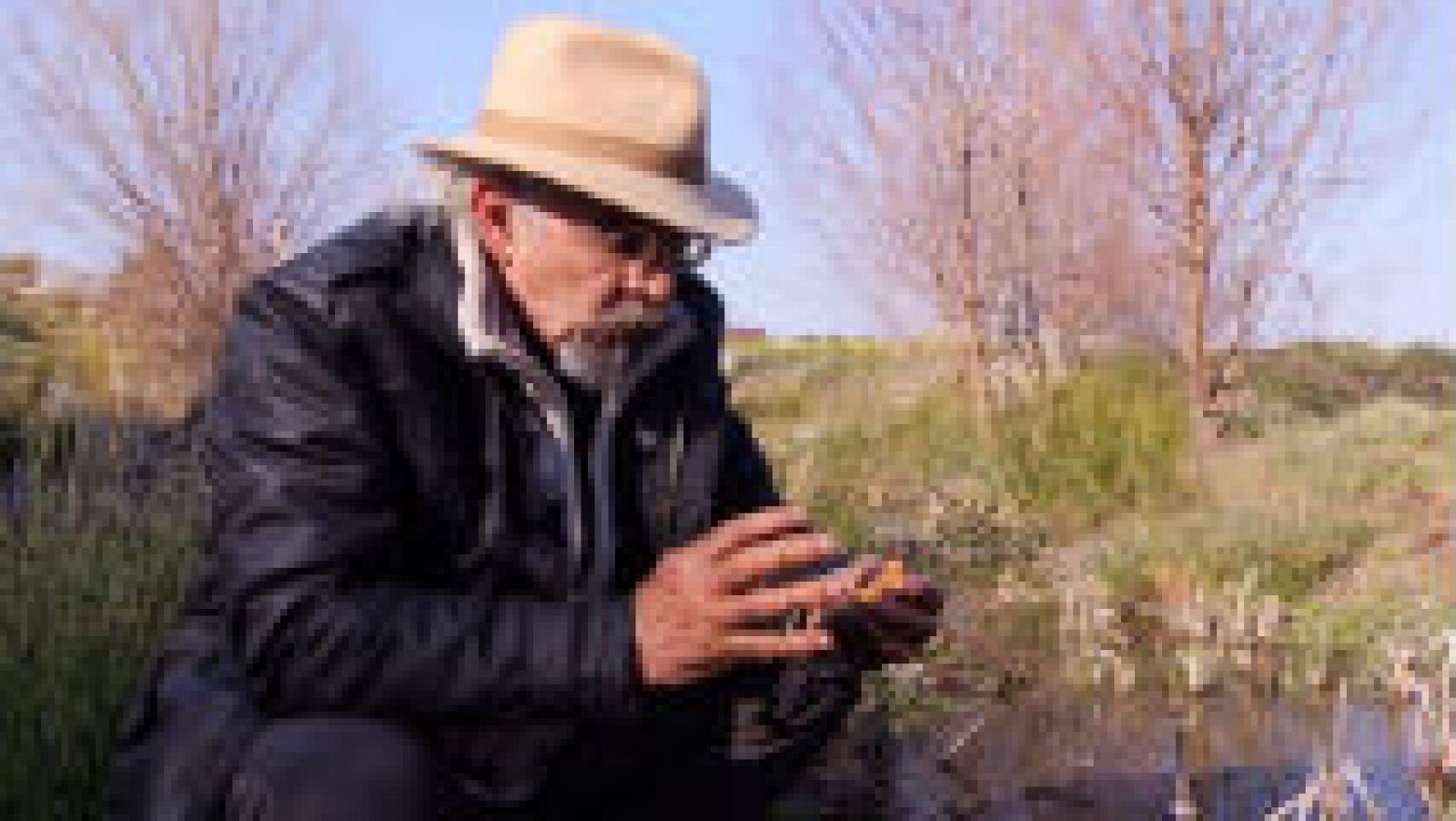 Juan Plantas y la espadaña