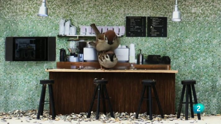 La 2 Noticias - Televisión a fuego lento