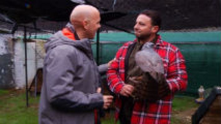 Aquí la Tierra - Guillermo, un cetrero de pro