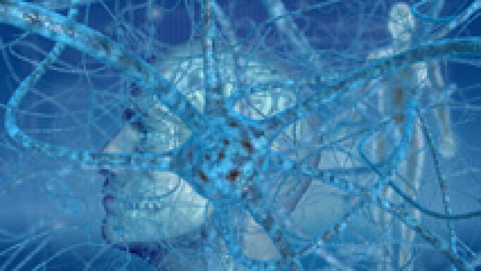 Telediario 1: Científicos localizan la región del cerebro donde se origina el olvido | RTVE Play