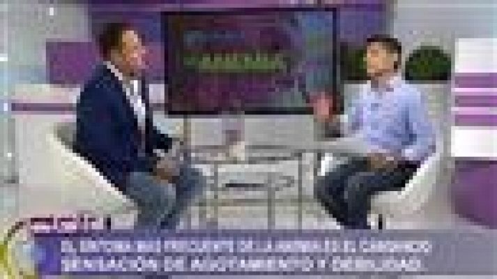 Cerca de ti - Cerca de ti - 21/04/2016