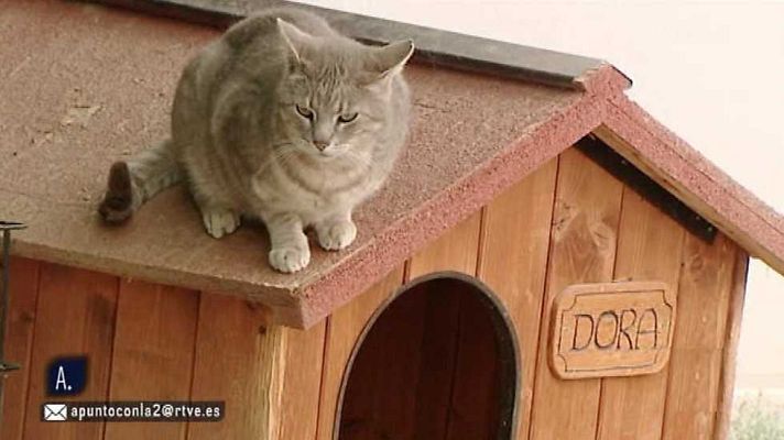 A punto con La 2 - A punto con La 2 - 21/04/16