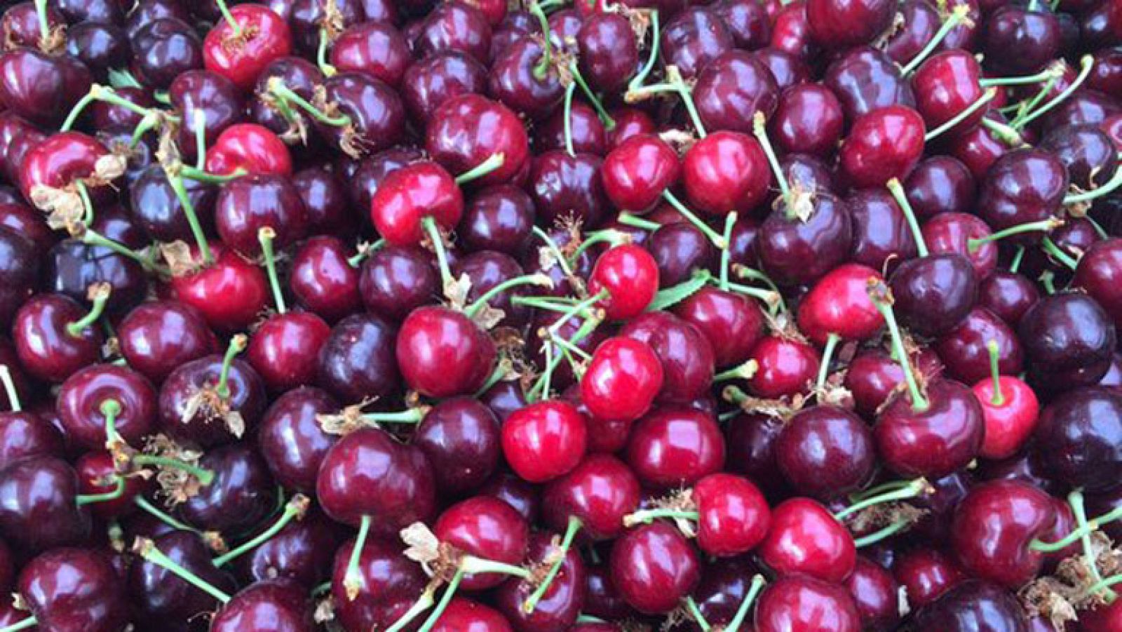 Unas cerezas ¡de 125 euros/kilo!