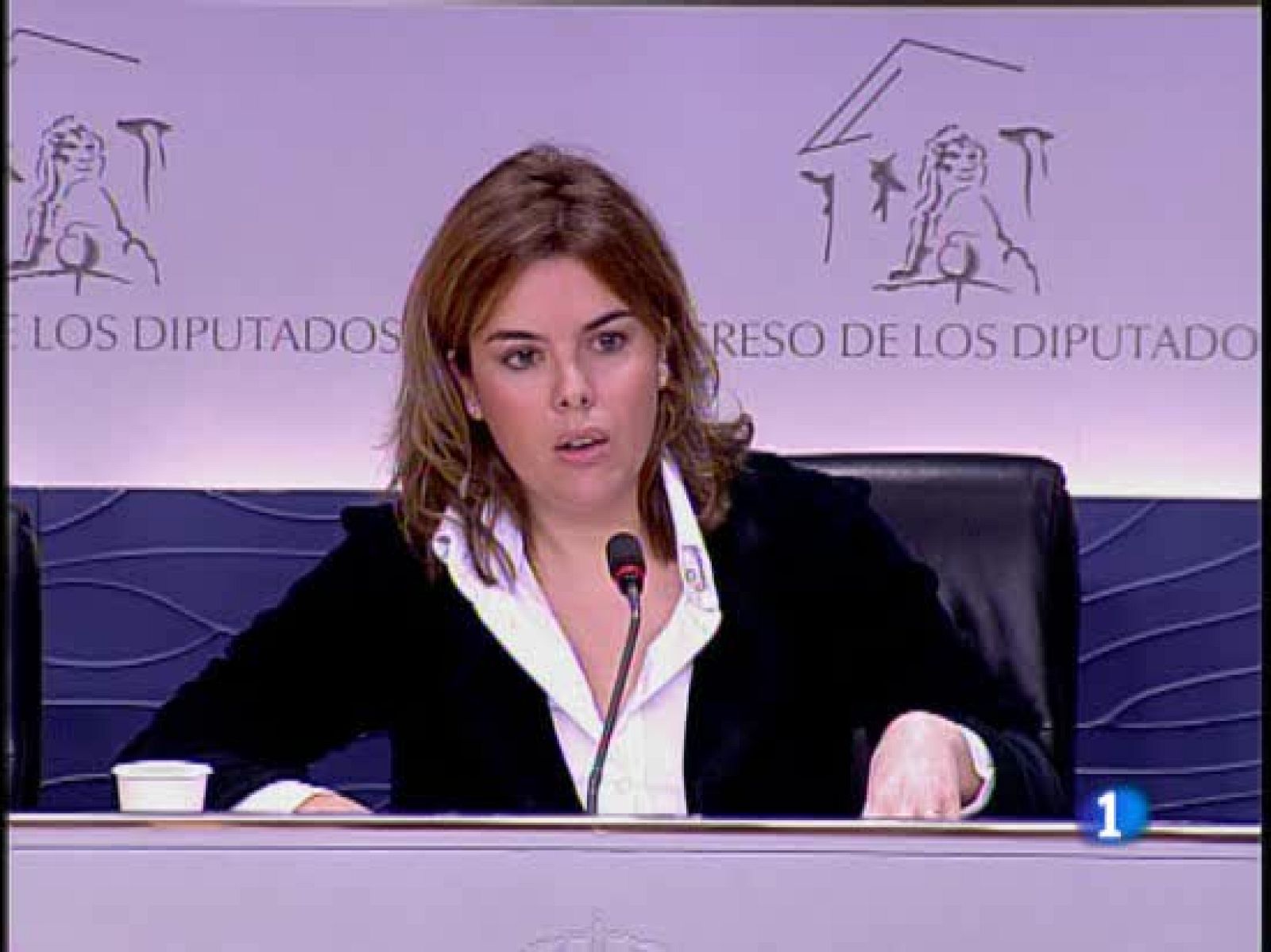 Todas las fuerzas políticas muestran su satisfacción por las detenciones | Ver