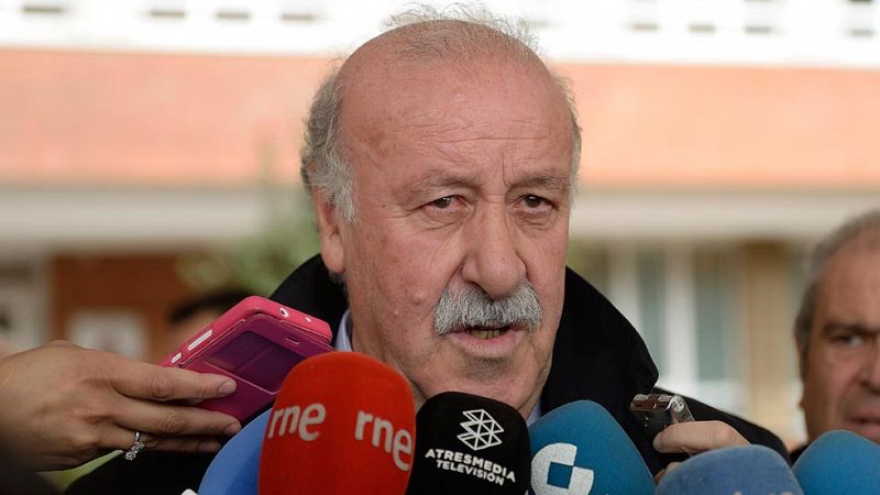 Del Bosque: "En la Eurocopa estaremos todos al nivel que nos exige la camiseta"