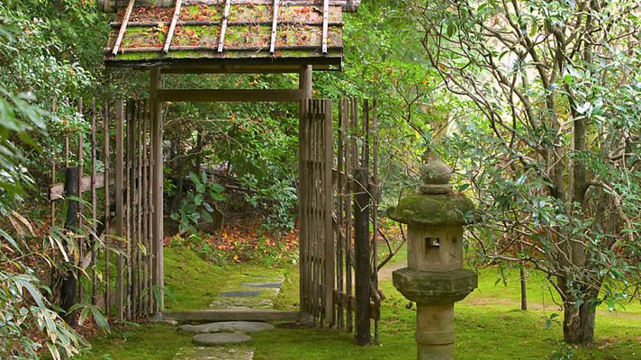 Japón. El regreso a las raíces