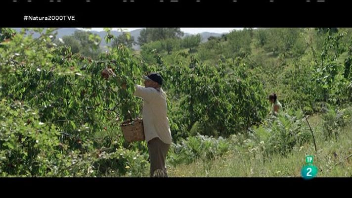 Red Natura 2000 - El rincón de los cerezos