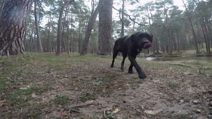 Informativo de Madrid - El Tiempo en la Comunidad de Madrid - 25/04/16