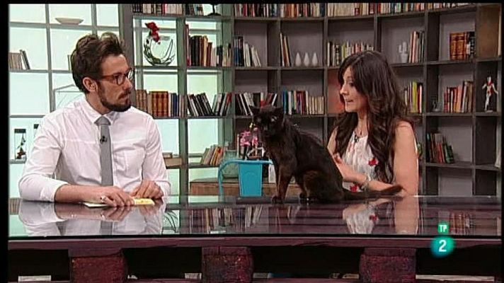 A punto con La 2 - Los gatos y sus bandejas