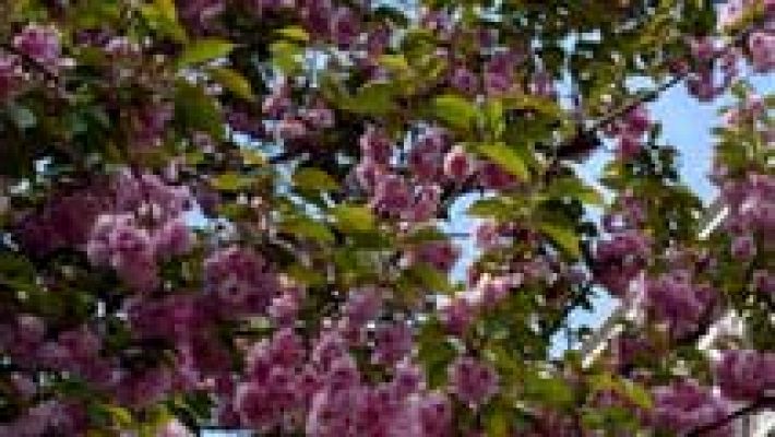 El tiempo - Temperaturas en aumento en ambas mesetas, Mediterráneo y Baleares