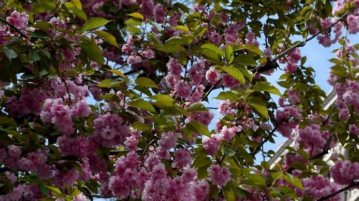 El tiempo - Temperaturas en aumento en ambas mesetas, Mediterráneo y Baleares