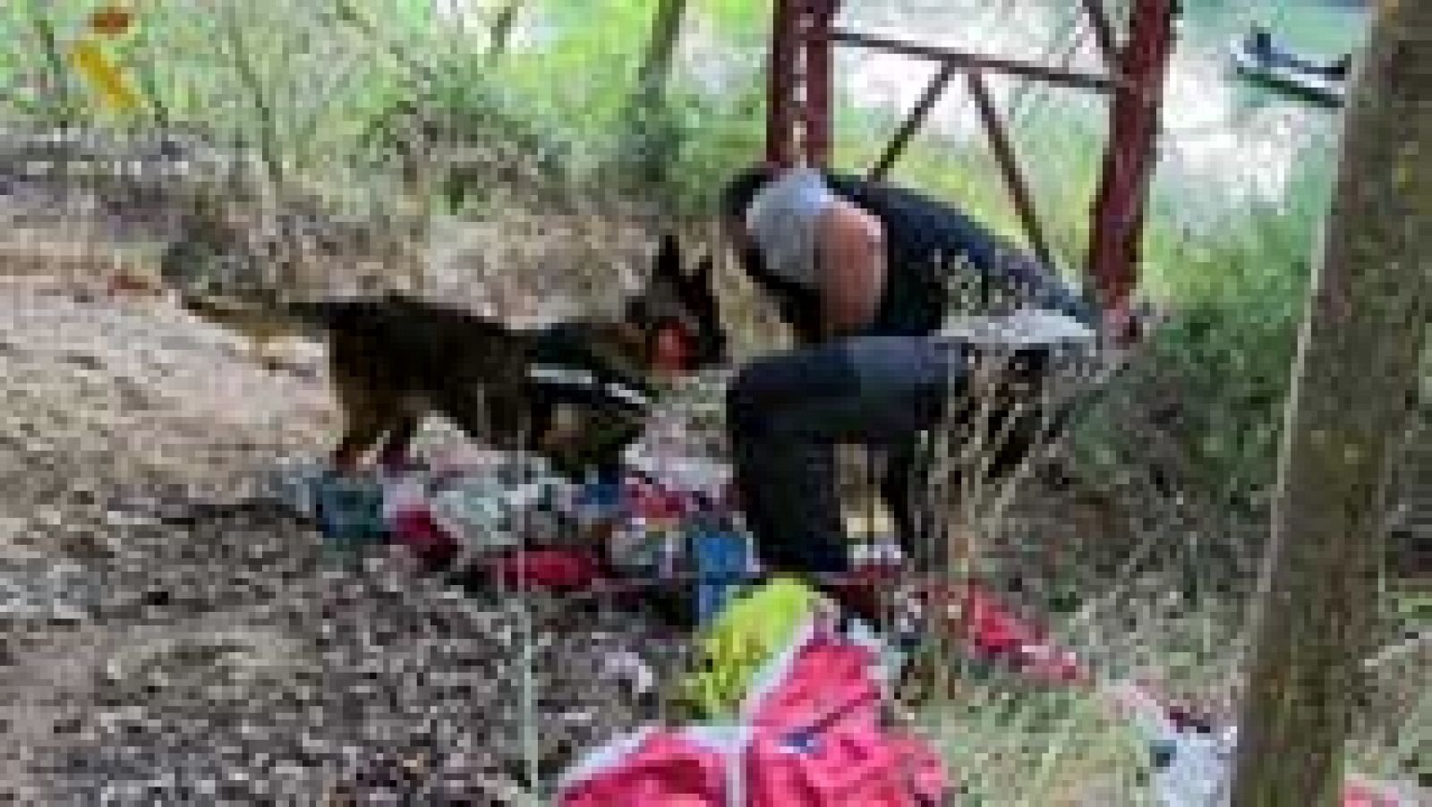 Informativo de Madrid - 26/04/16