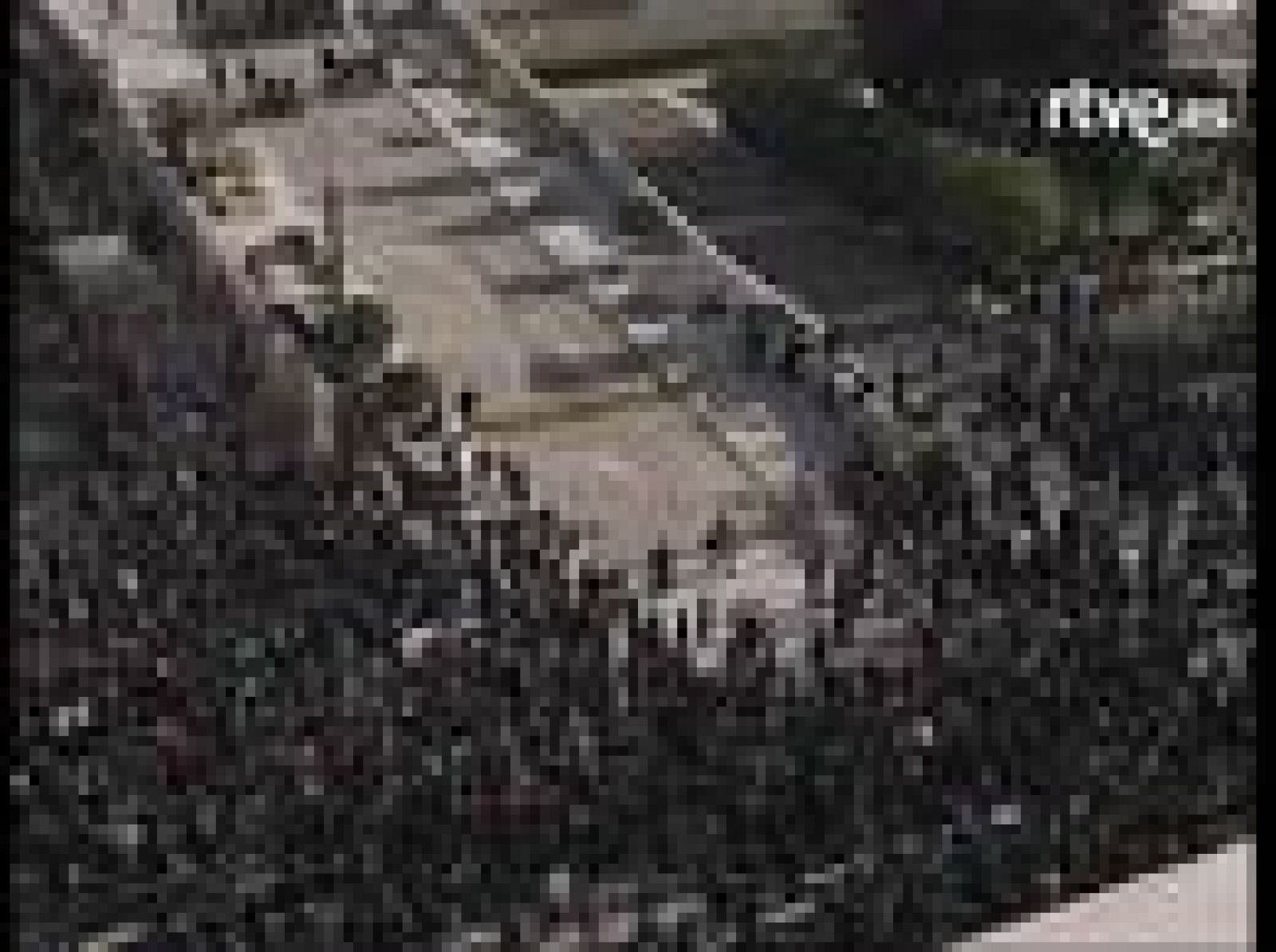 Sin programa: Batalla campal en Atenas | RTVE Play