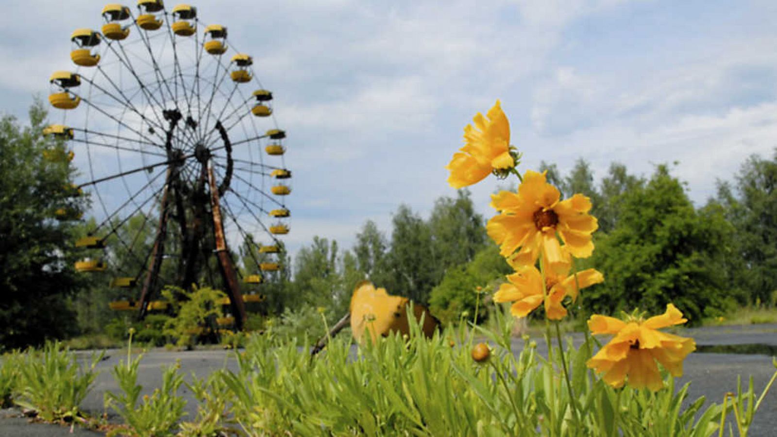 Otros documentales - Chernóbil, ¿una historia natural? Un enigma radioactivo
