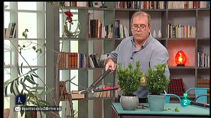A punto con La 2 - Nociones y herramientas de jardinería