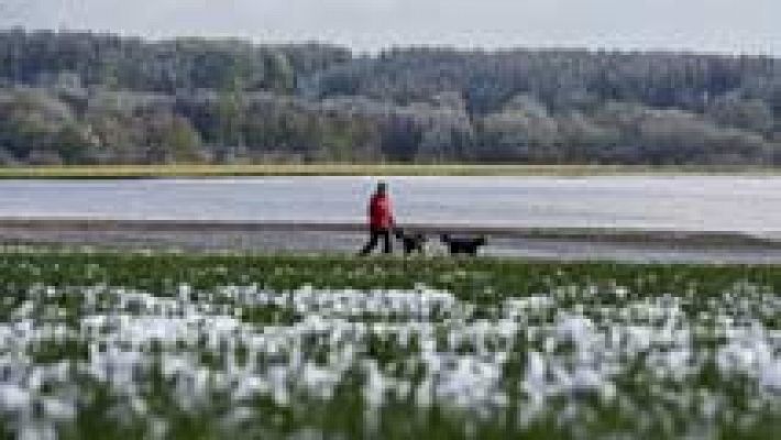 El tiempo - Nuboso con chubascos en el norte, nordeste y centro peninsular