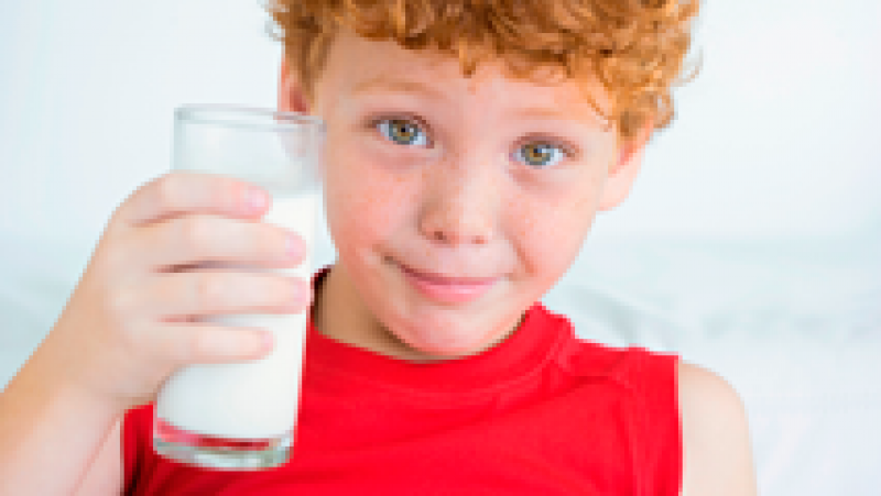 Dieta y nutrición: Consumo de la leche