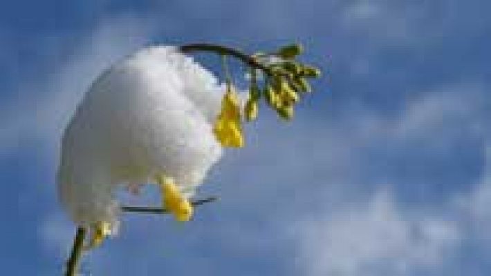 Informativo de Madrid - El Tiempo en la Comunidad de Madrid - 28/04/16