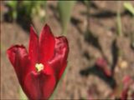 Panorama Regional - El tiempo en Asturias - 29/04/16