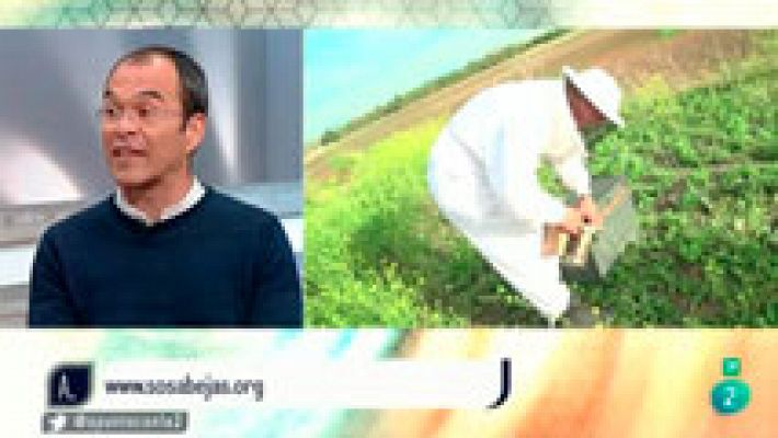 A punto con La 2 - Proyectos solidarios - Las abejas