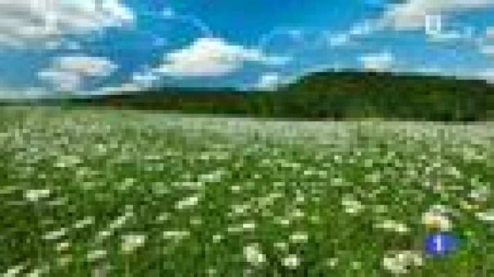 Noticias Murcia - El tiempo en la Región de Murcia - 29/04/2016