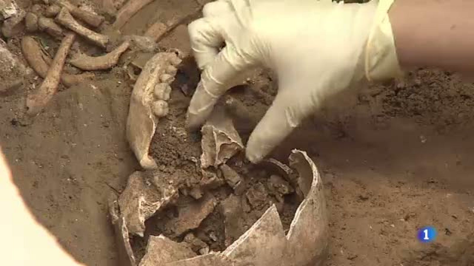 Extraordinària troballa al jaciment ibèric de la Font de la Canya, a Avinyonet del Penedès