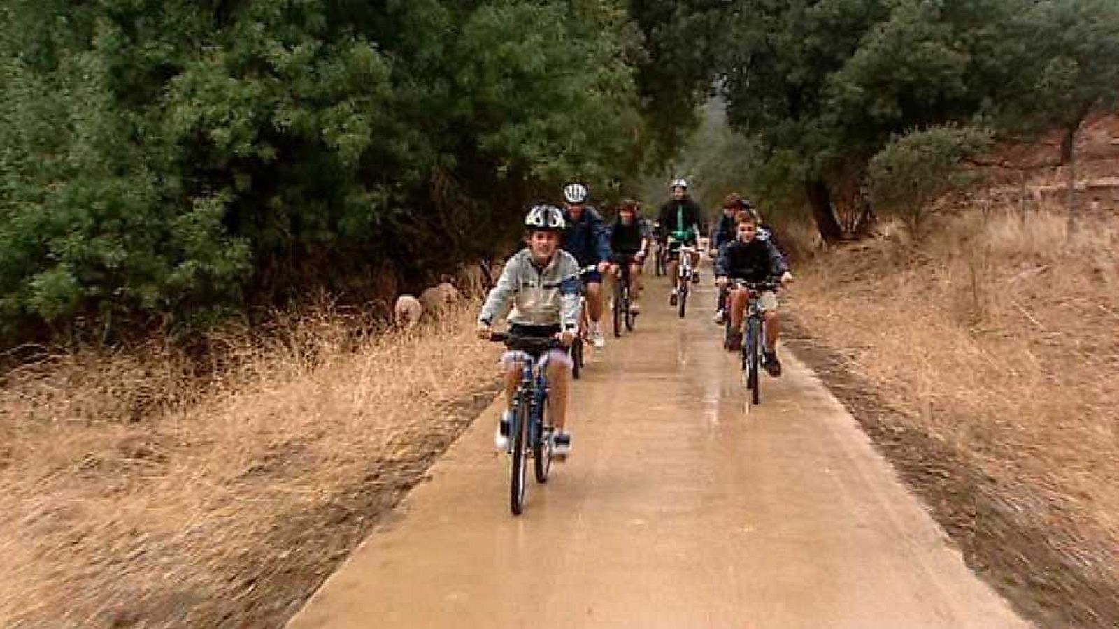 Vive la vía - Vía verde de la Sierra Norte de Sevilla - Ver ahora